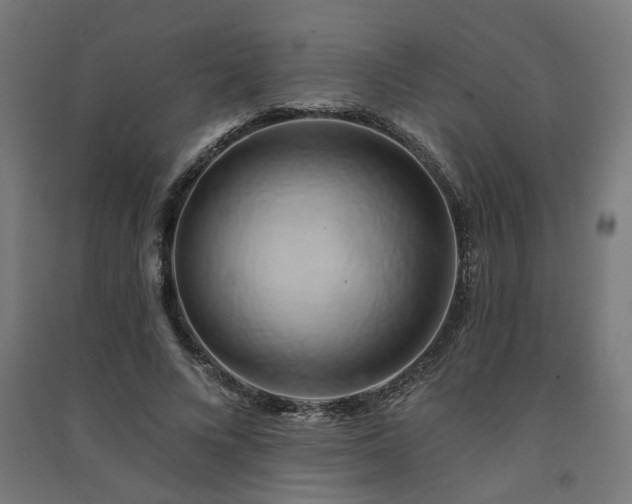 X0000091590688200708201230