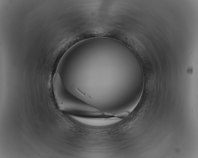 X0000091590689200708201230