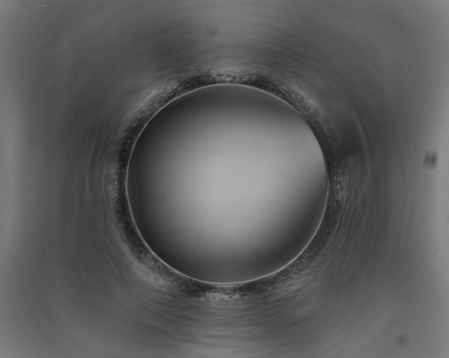 X0000091590690200708201230