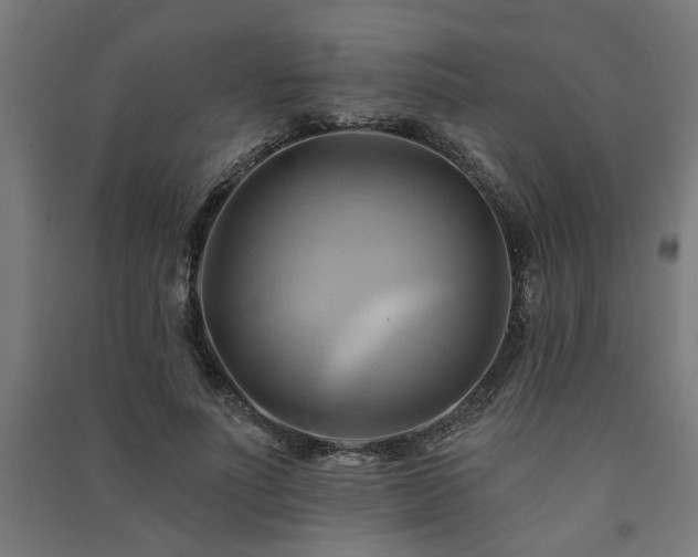 X0000091590691200708201230
