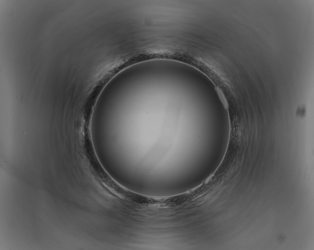 X0000091590692200708201230
