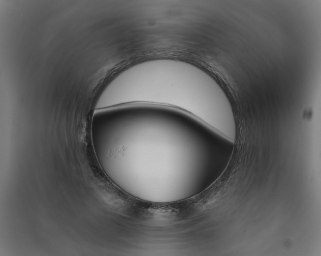 X0000091590693200708201230