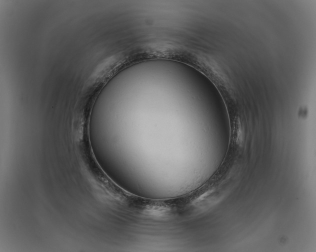 X0000091590694200708201230