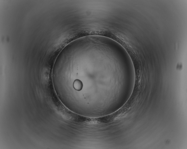 X0000091590695200708201230