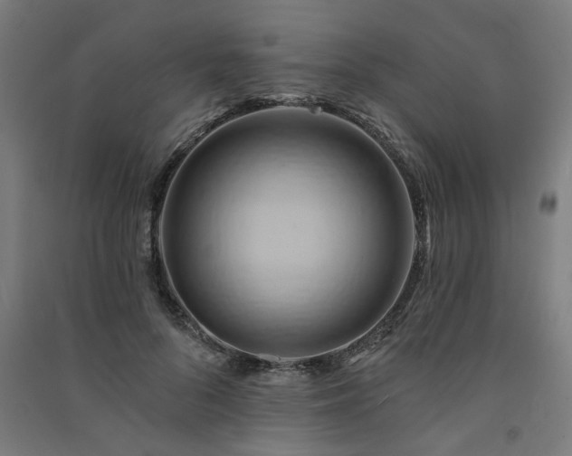 X0000091590696200708201230
