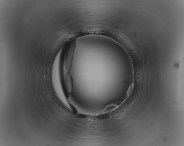 X0000091590697200708201230
