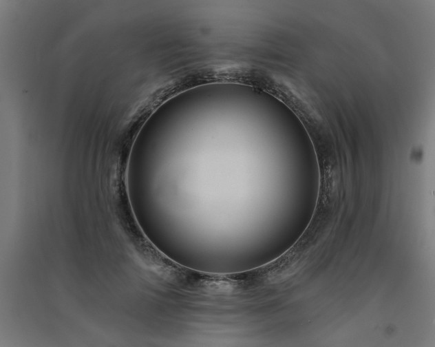 X0000091590698200708201230