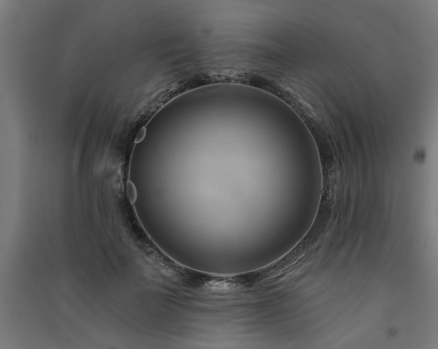 X0000091590699200708201230