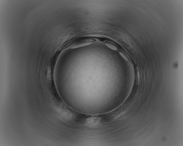 X0000091590700200708201230