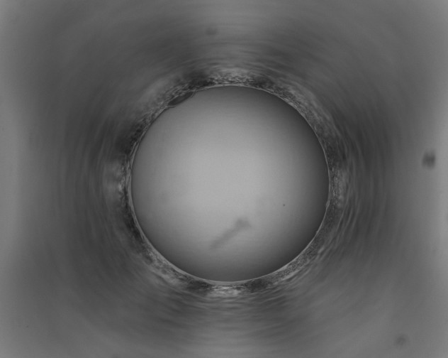 X0000091590701200708201230