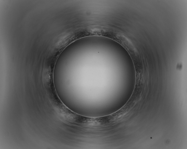 X0000091590702200708201230