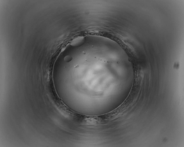 X0000091590703200708201230