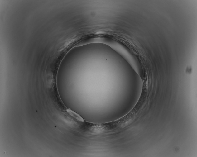 X0000091590704200708201230