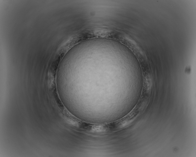X0000091590705200708201230