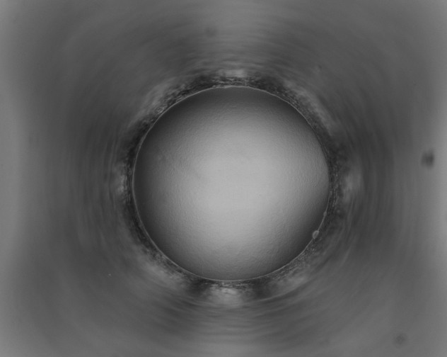 X0000091590706200708201230