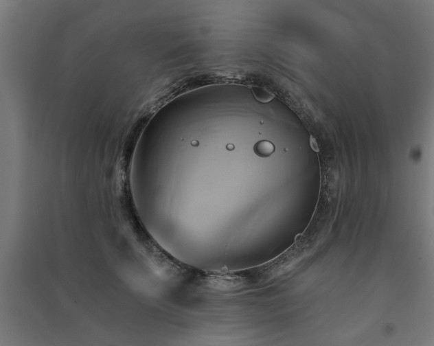 X0000091590707200708201230