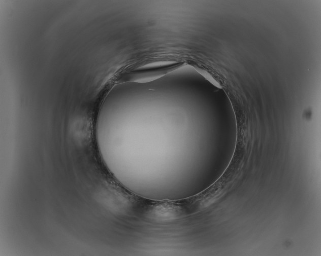 X0000091590708200708201230