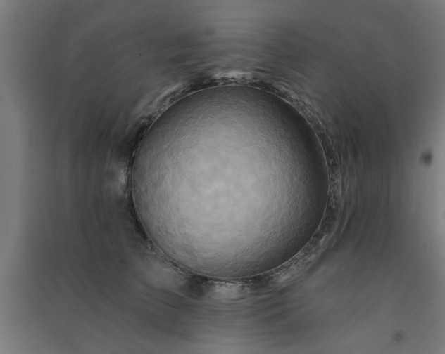 X0000091590709200708201230