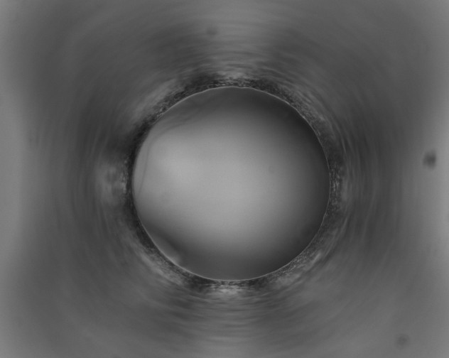 X0000091590710200708201230
