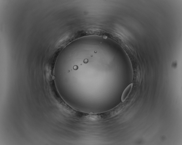 X0000091590711200708201230