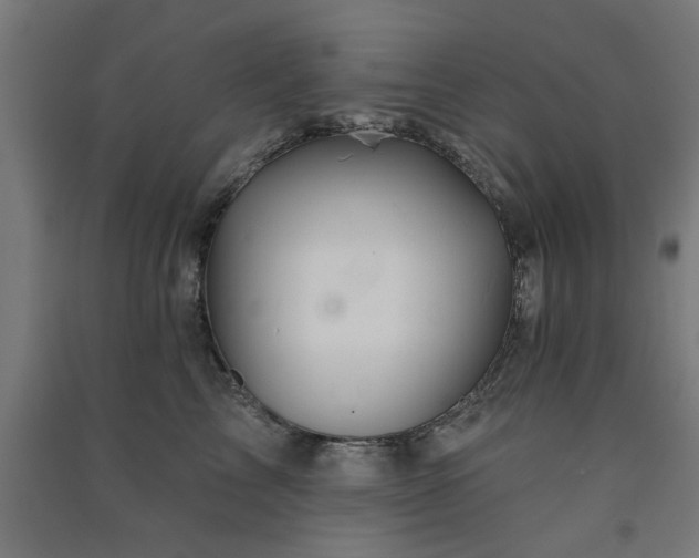 X0000091590713200708201230