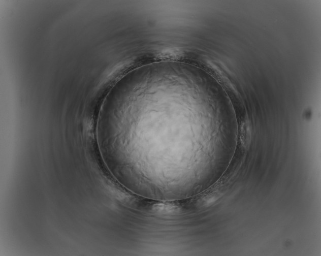 X0000091590714200708201230