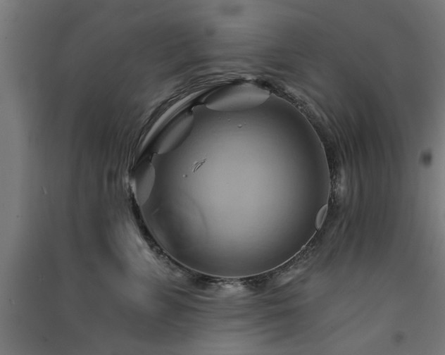 X0000091590715200708201230