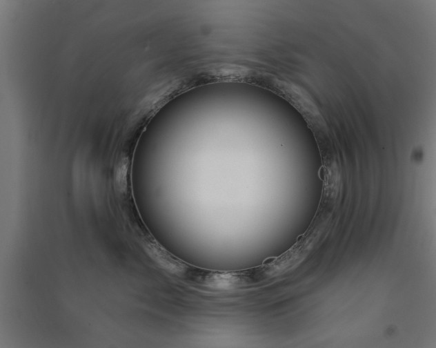 X0000091590717200708201230