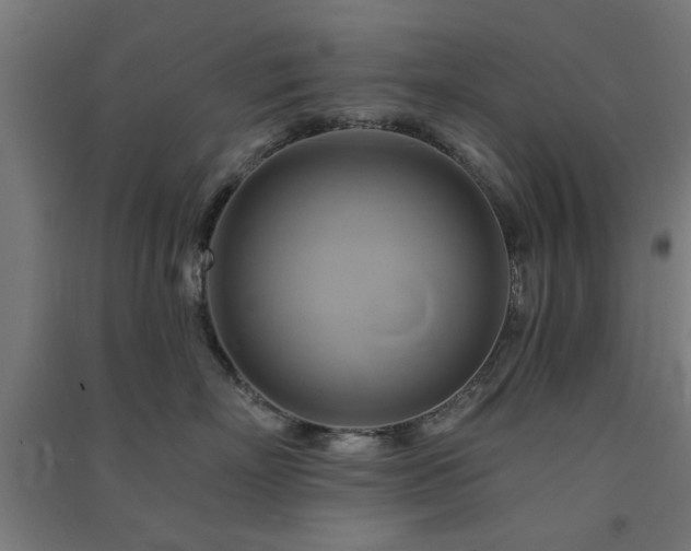 X0000091590718200708201230