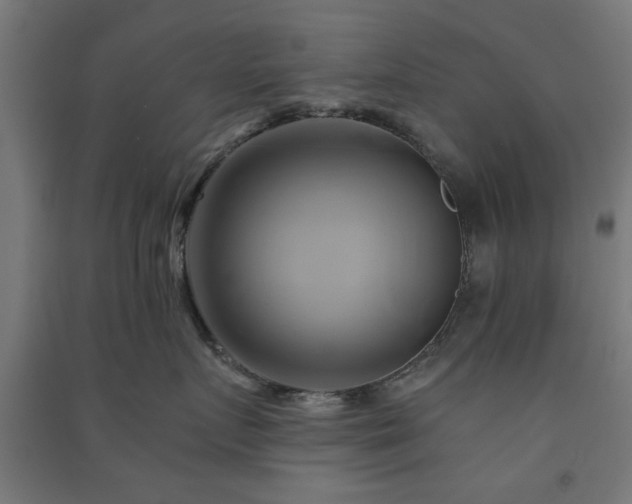 X0000091590719200708201230