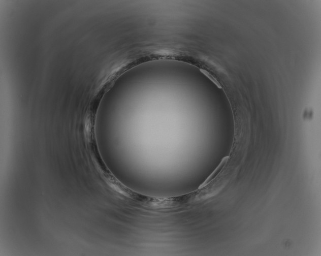 X0000091590720200708201230