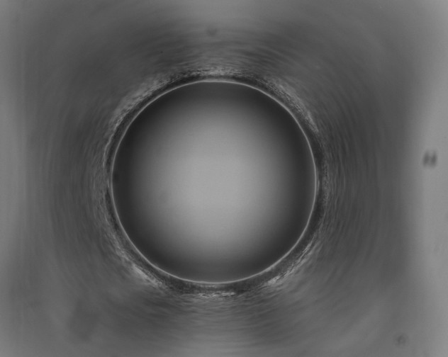 X0000091590721200708201229