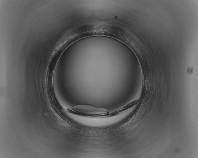 X0000091590722200708201229
