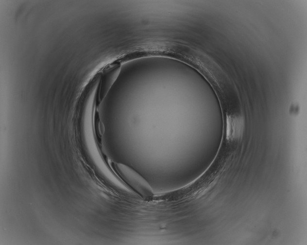 X0000091590723200708201229