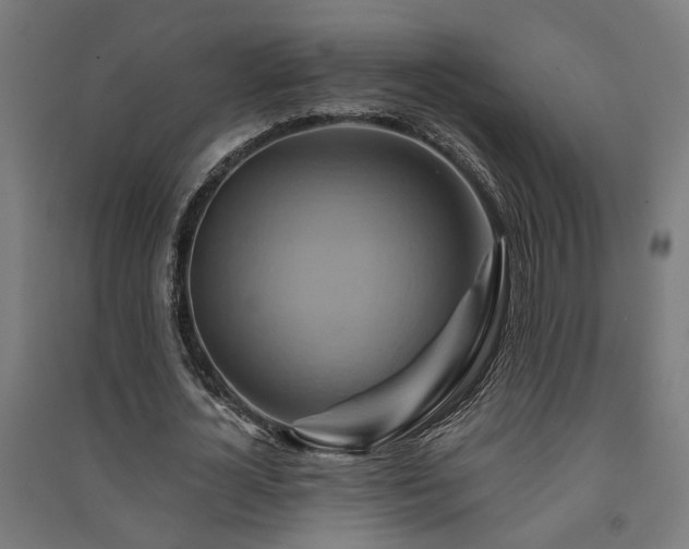 X0000091590724200708201229
