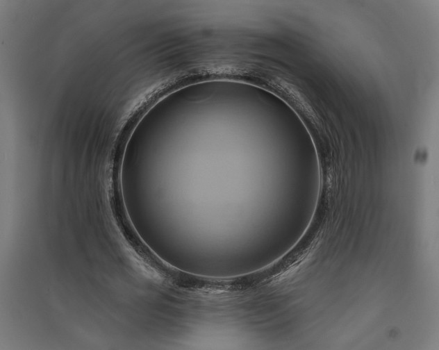 X0000091590725200708201229