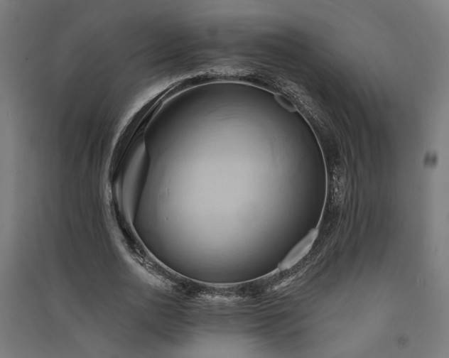 X0000091590726200708201229