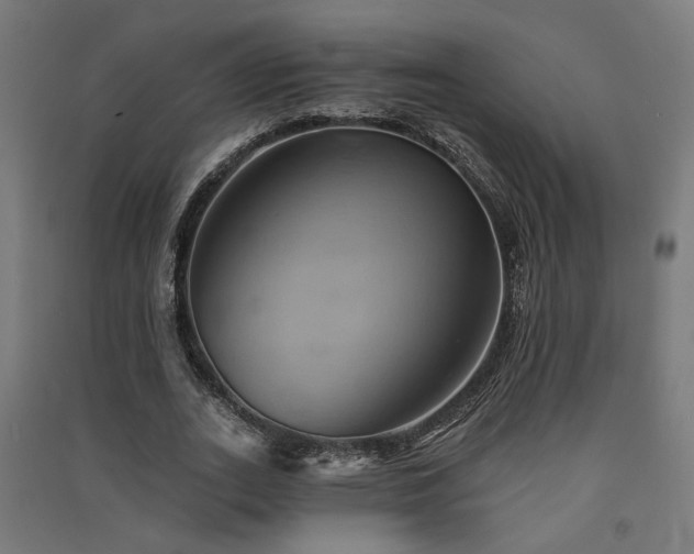 X0000091590727200708201229