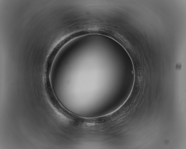 X0000091590728200708201229