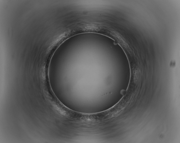 X0000091590729200708201229