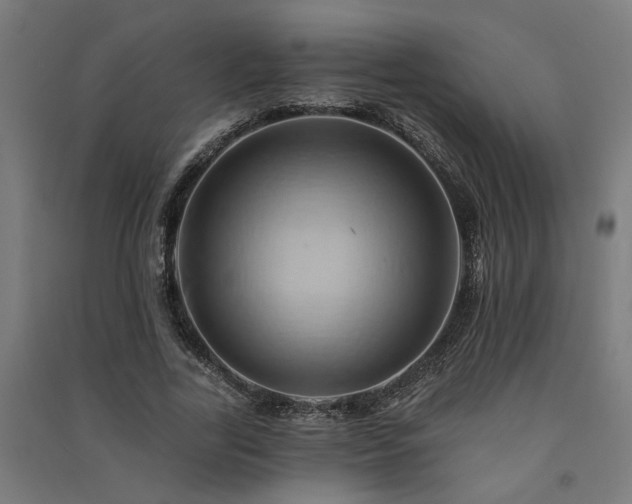 X0000091590731200708201229