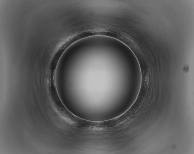 X0000091590732200708201229