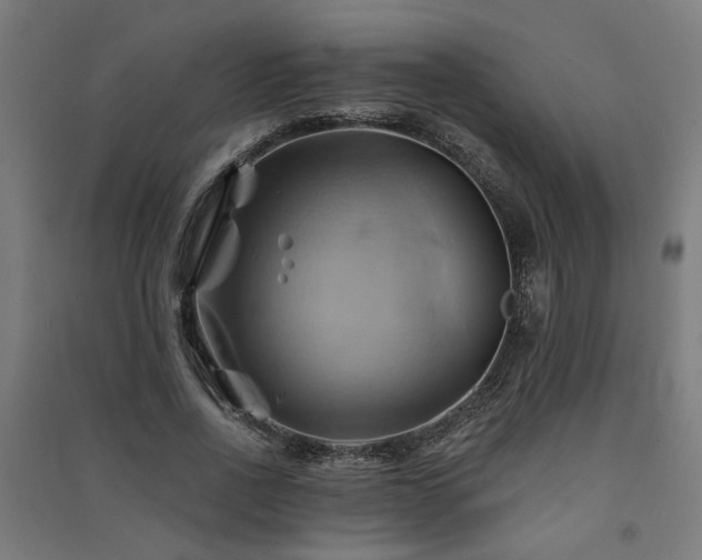 X0000091590734200708201229