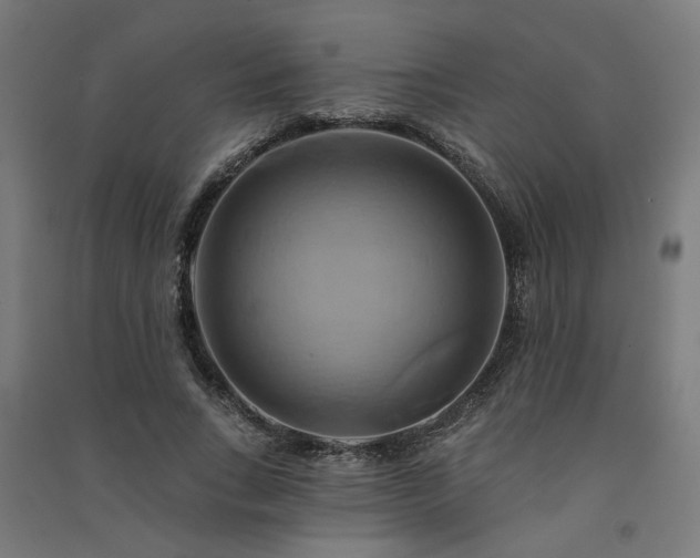 X0000091590735200708201229