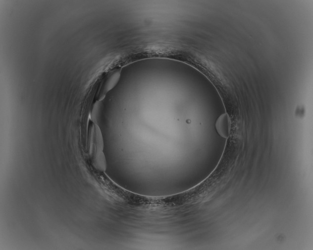 X0000091590738200708201229
