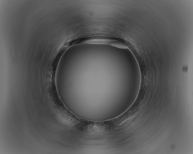 X0000091590739200708201229
