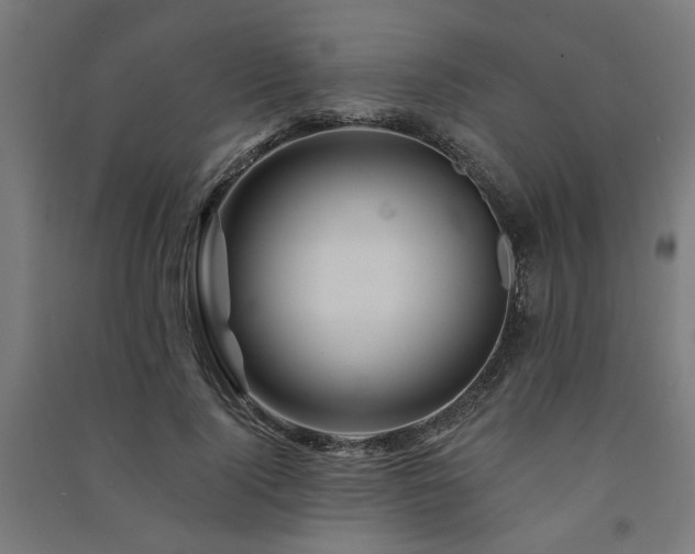 X0000091590740200708201229