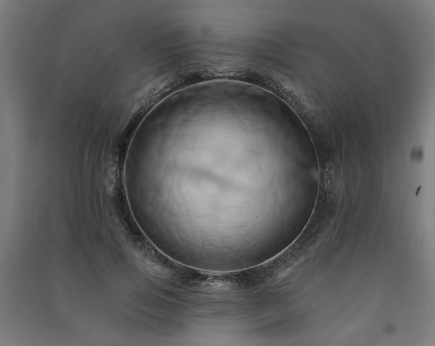 X0000091590741200708201229