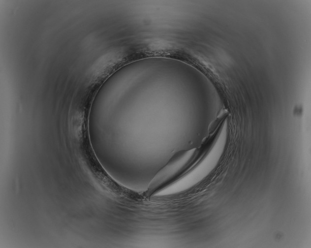 X0000091590742200708201229