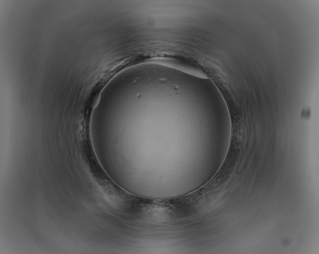 X0000091590743200708201229